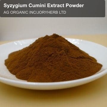 Syzygium Cumini Extract Powder