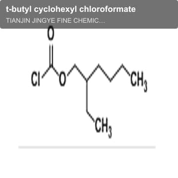 t-butyl cyclohexyl chloroformate
