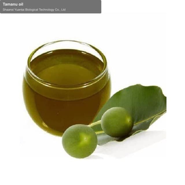 Tamanu oil