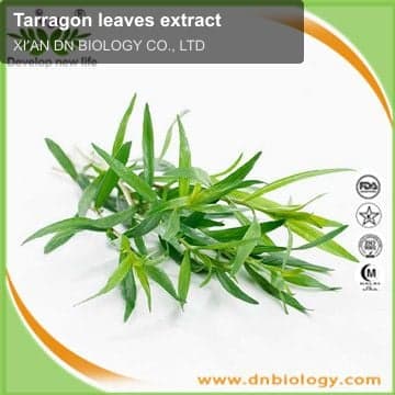 Tarragon leaves extract
