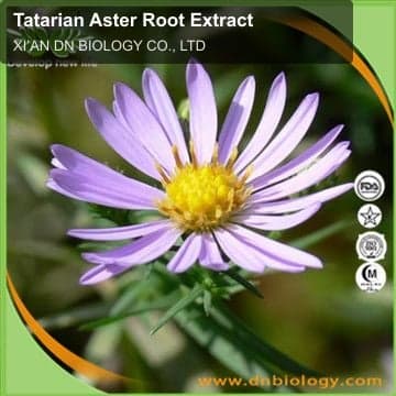 Tatarian Aster Root Extract