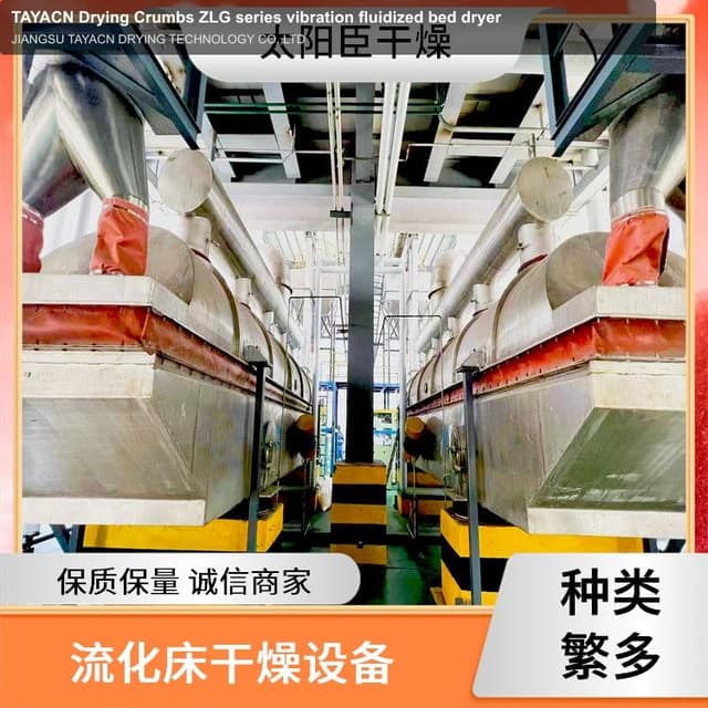 TAYACN Drying Crumbs ZLG series vibration fluidized bed dryer