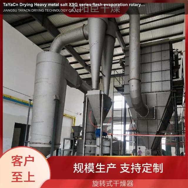 TaYaCn Drying ‌Heavy metal salt XSG series flash evaporation rotary dryer