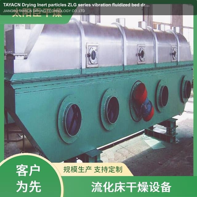 TAYACN Drying Inert particles ZLG series vibration fluidized bed dryer