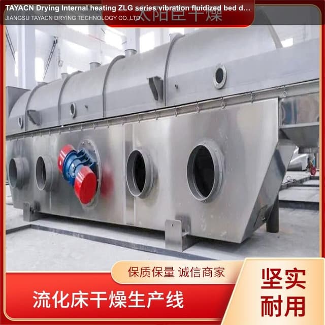 TAYACN Drying Internal heating ZLG series vibration fluidized bed dryer