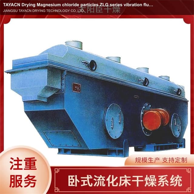 TAYACN Drying Magnesium chloride particles ZLG series vibration fluidized bed dryer