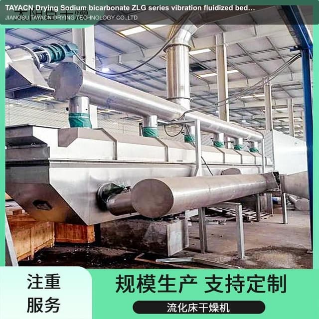 TAYACN Drying Sodium bicarbonate ZLG series vibration fluidized bed dryer