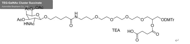 TEG-GalNAc Cluster Succinate