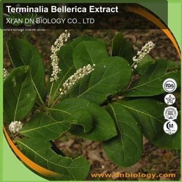 Terminalia Bellerica Extract