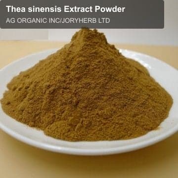 Thea sinensis Extract Powder
