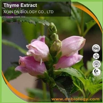 Thyme Extract