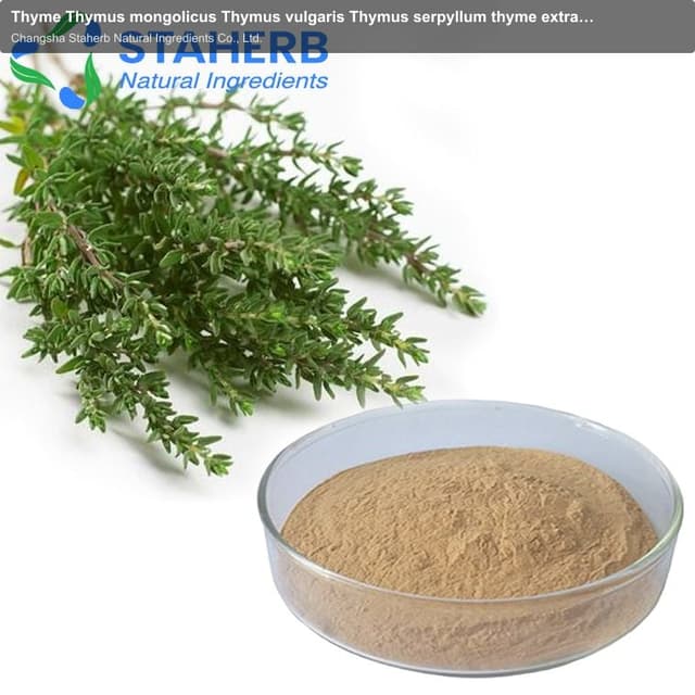 Thyme Thymus mongolicus Thymus vulgaris Thymus serpyllum thyme extract