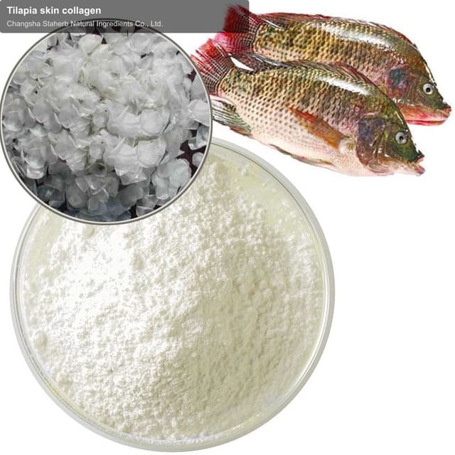 Tilapia skin collagen