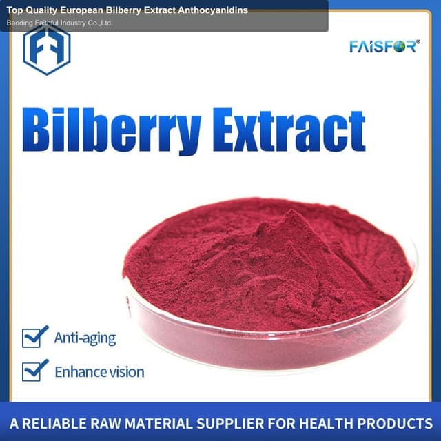 Top Quality European Bilberry Extract Anthocyanidins