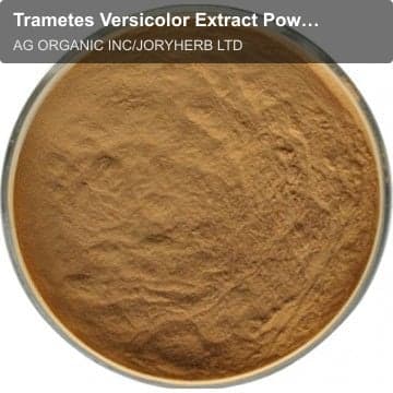 Trametes Versicolor Extract Powder