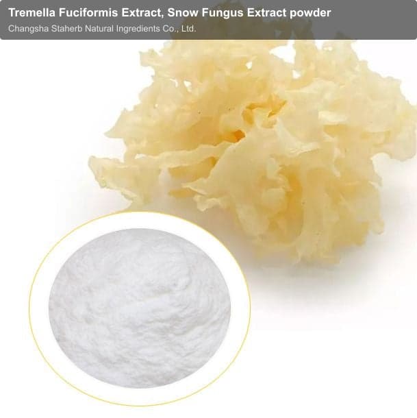 Tremella Fuciformis Extract, Snow Fungus Extract powder
