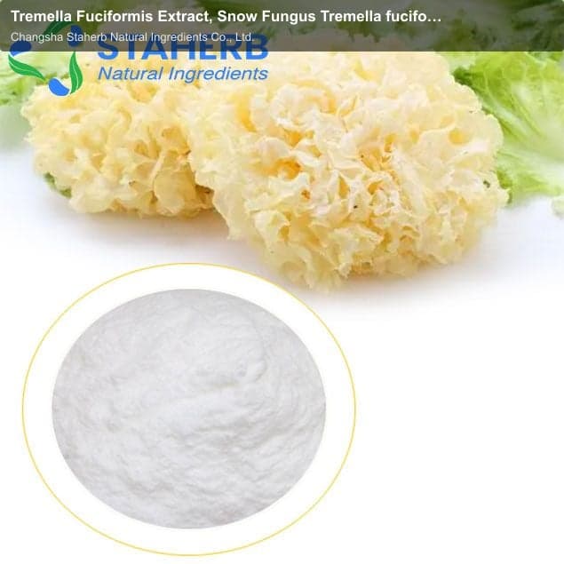Tremella Fuciformis Extract, Snow Fungus Tremella fuciformis Tremella white fungus silvery fungi Ext