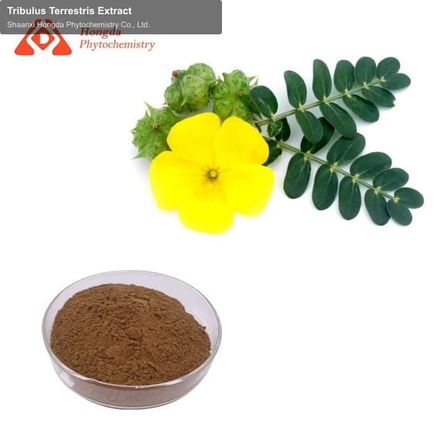 Tribulus Terrestris Extract