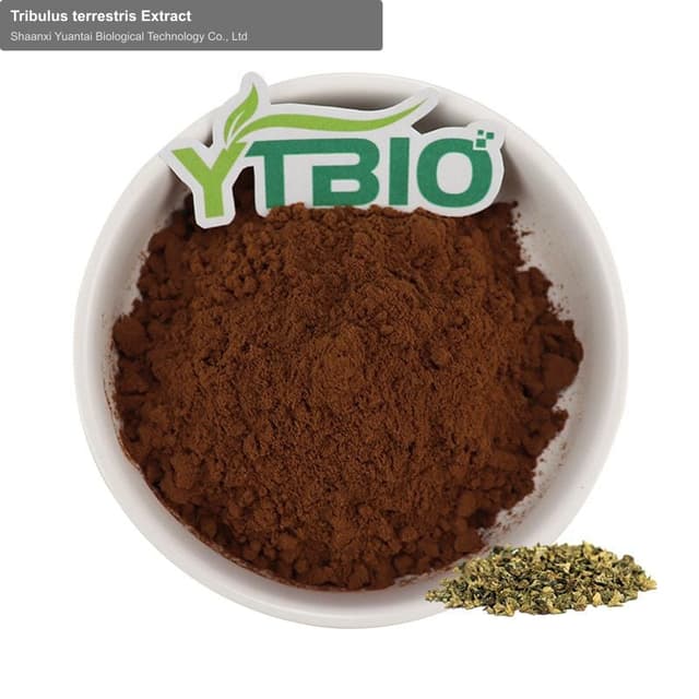 Tribulus terrestris Extract
