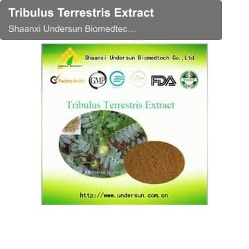 Tribulus Terrestris Extract
