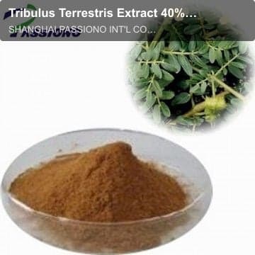 Tribulus Terrestris Extract 40%,90% Saponins/ Herbal Extract