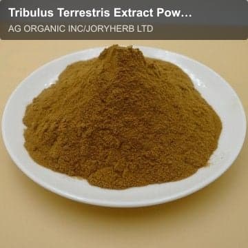 Tribulus Terrestris Extract Powder