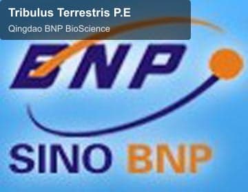 Tribulus Terrestris P.E