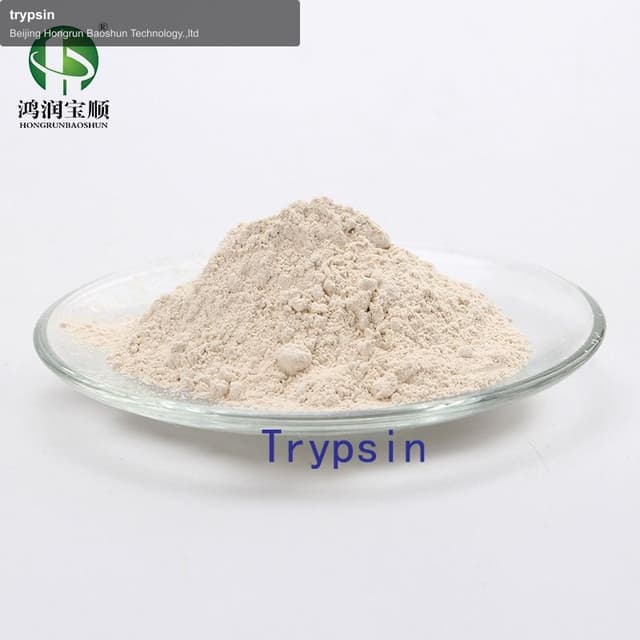 trypsin