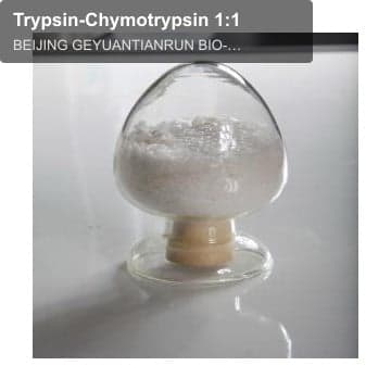 Trypsin-Chymotrypsin 1:1