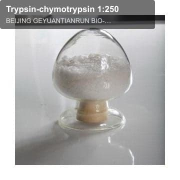 Trypsin-chymotrypsin 1:250