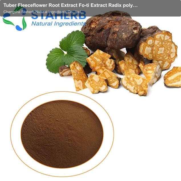 Tuber Fleeceflower Root Extract Fo-ti Extract Radix polygoni mulitiflori P.E Radix Polygoni Multiflo
