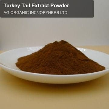 Turkey Tail Extract Powder