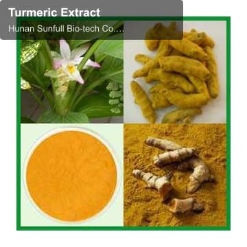 Turmeric Extract