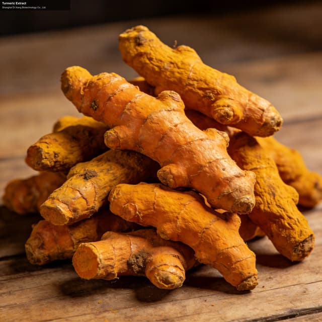 Turmeric Extract