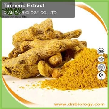 Turmeric Extract
