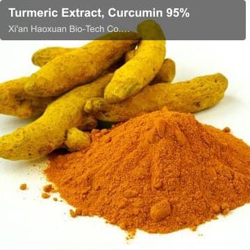 Turmeric Extract, Curcumin 95%