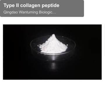 Type II collagen peptide