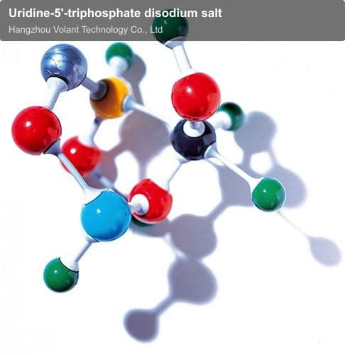 Uridine-5'-triphosphate disodium salt