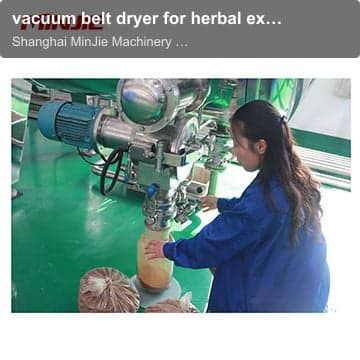 vacuum belt dryer for herbal extract