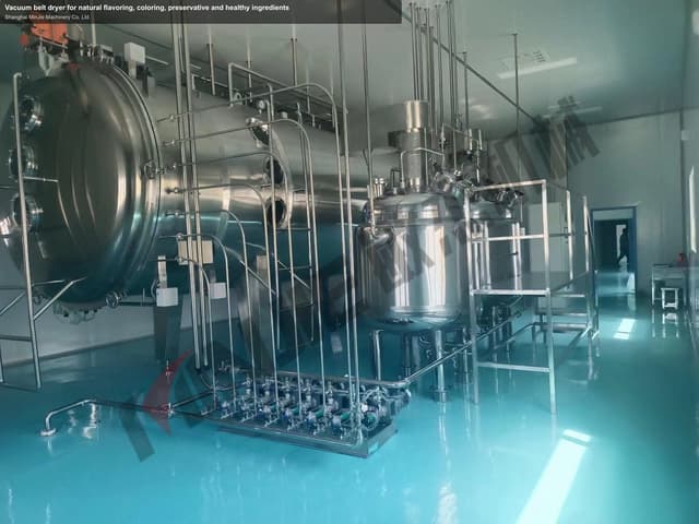 Vacuum belt dryer for natural flavoring, coloring, preservative and healthy ingredients