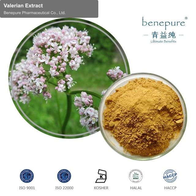 Valerian Extract