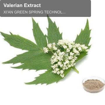 Valerian Extract