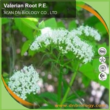 Valerian Root P.E.