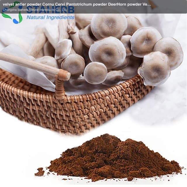 velvet antler powder Cornu Cervi Pantotrichum powder DeerHorn powder Velvet powder pilose antler (of