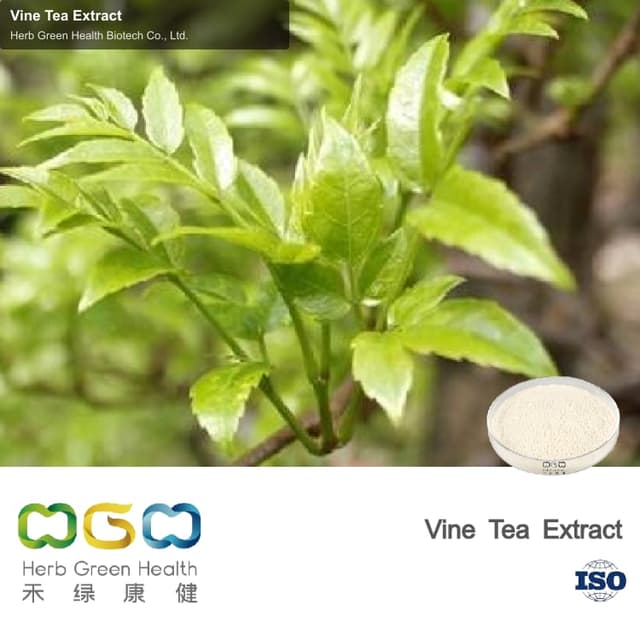 Vine Tea Extract