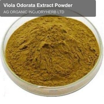 Viola Odorata Extract Powder