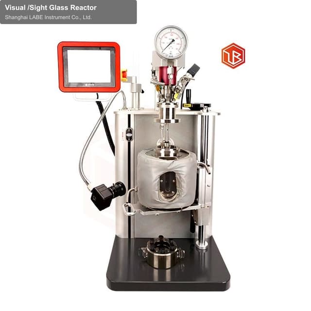 Visual /Sight Glass Reactor