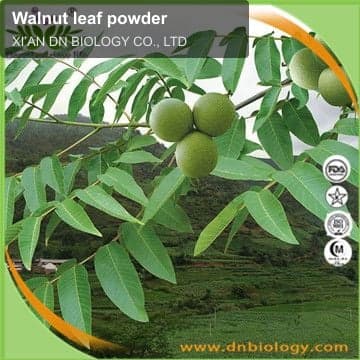 Walnut leaf powder