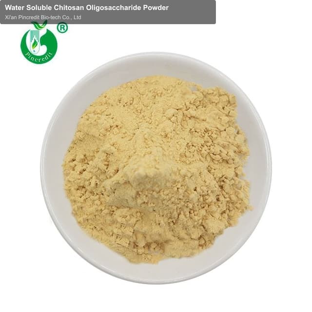 Water Soluble Chitosan Oligosaccharide Powder