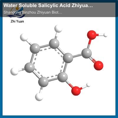Water Soluble Salicylic Acid Zhiyuan High Solubility And High Dispersion